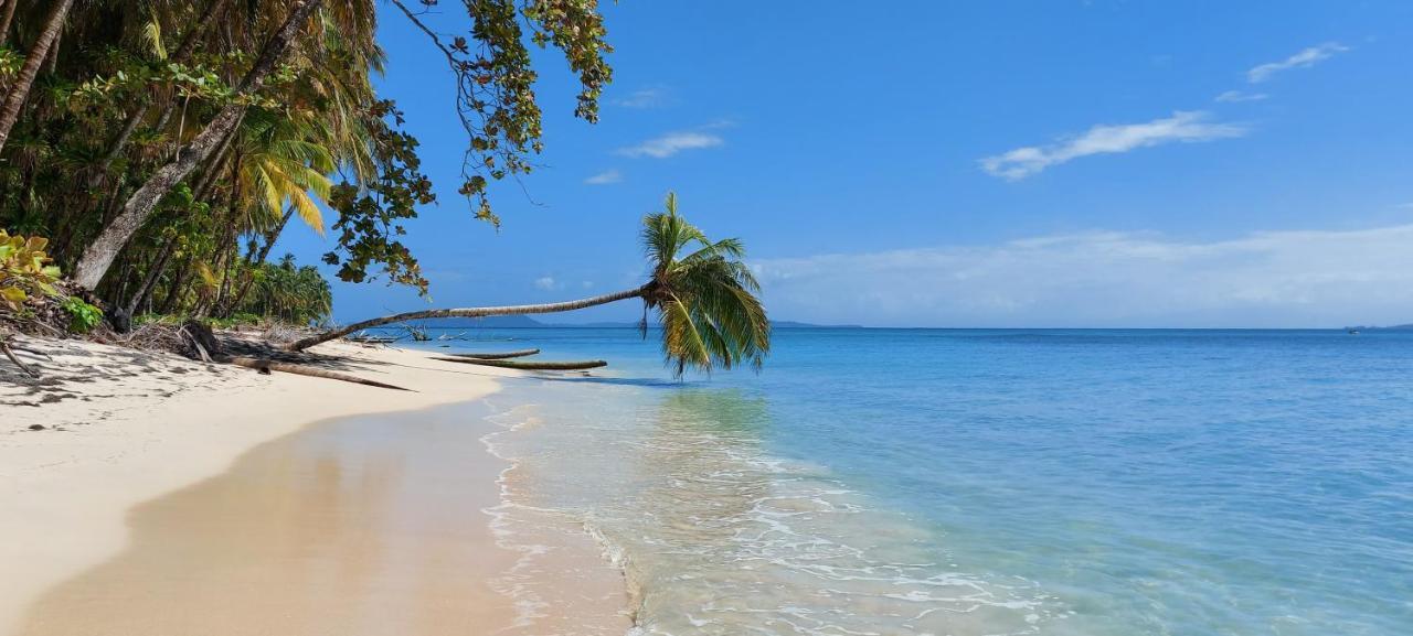 The Sunsetter Bed&Breakfast Bocas del Toro Exterior foto